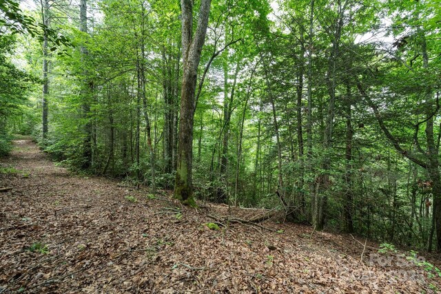 99999 Guntertown Rd, Marshall, NC 28753 - photo 8