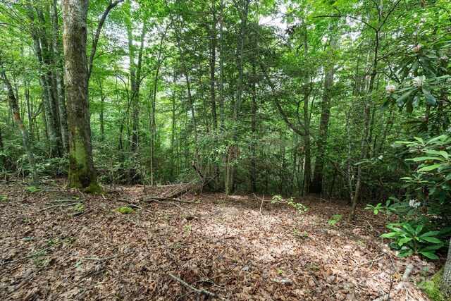 99999 Guntertown Rd, Marshall, NC 28753 - photo 9