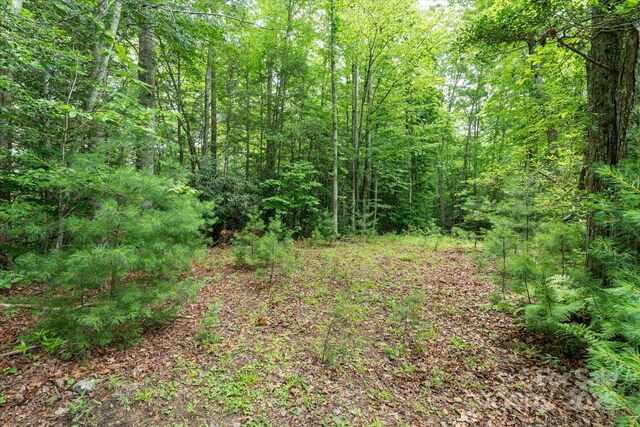 99999 Guntertown Rd, Marshall, NC 28753 - photo 10