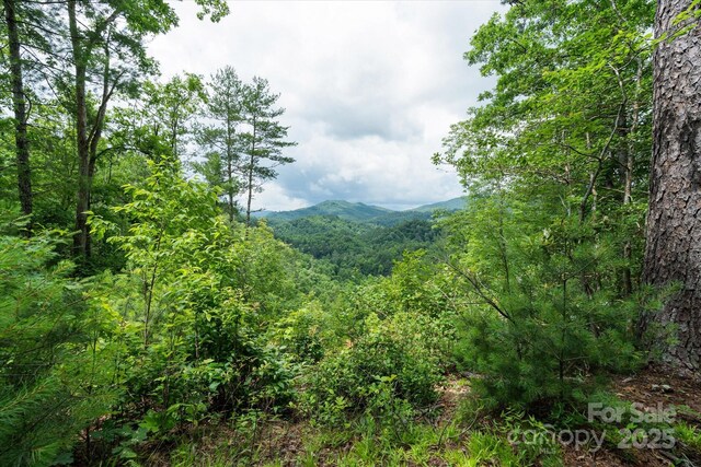 99999 Guntertown Rd, Marshall, NC 28753 - photo 3