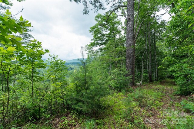99999 Guntertown Rd, Marshall, NC 28753 - photo 11