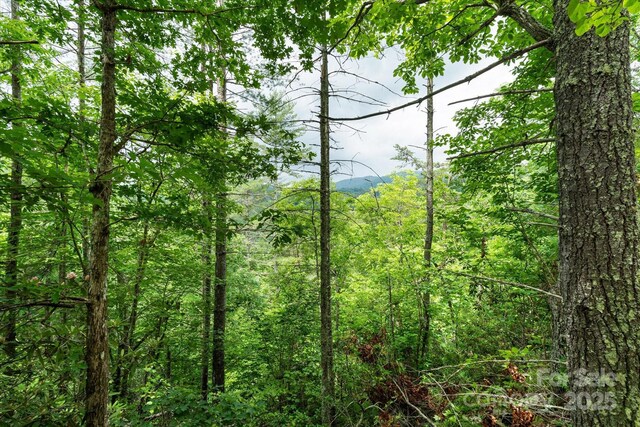 99999 Guntertown Rd, Marshall, NC 28753 - photo 12