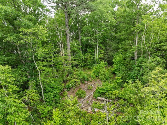99999 Guntertown Rd, Marshall, NC 28753 - photo 13