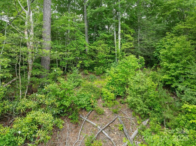 99999 Guntertown Rd, Marshall, NC 28753 - photo 14