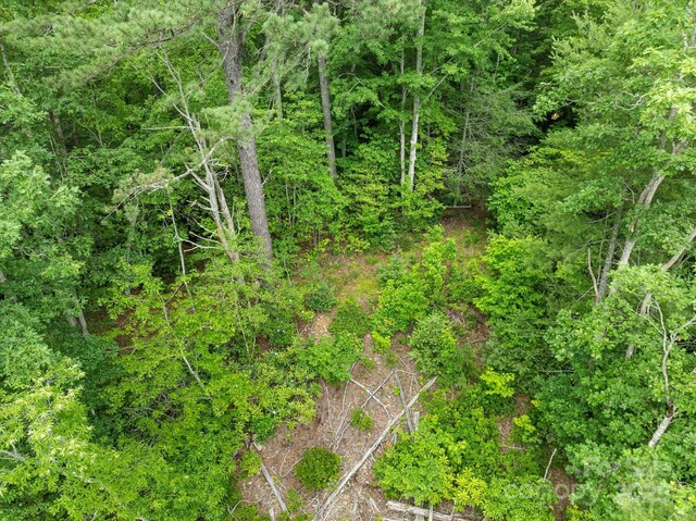 99999 Guntertown Rd, Marshall, NC 28753 - photo 15