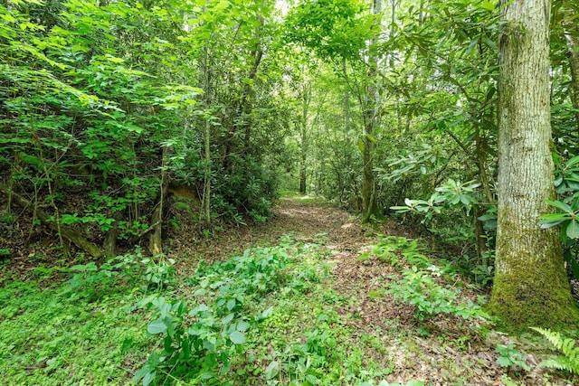 99999 Guntertown Rd, Marshall, NC 28753 - photo 16