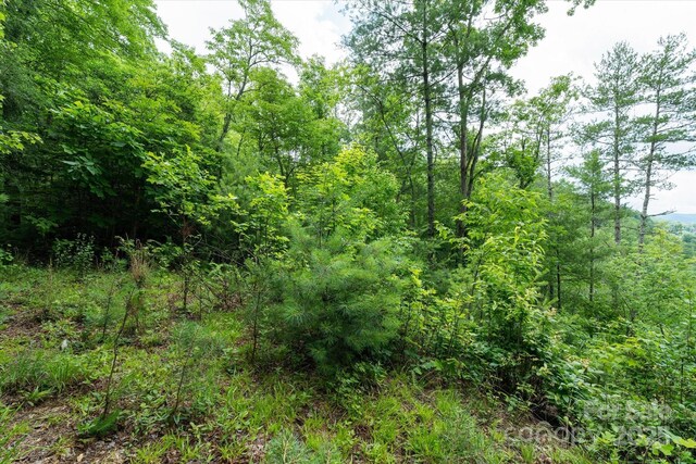 99999 Guntertown Rd, Marshall, NC 28753 - photo 17