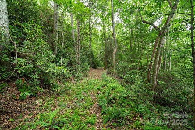 99999 Guntertown Rd, Marshall, NC 28753 - photo 18