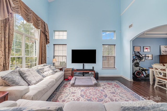 8927 Comstock Ct, Locust, NC 28097 - living area with a towering ceiling, wood finished floors, arched walkways, plenty of natural light, and baseboards