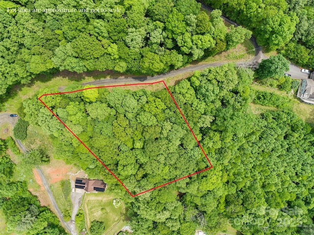 TBD Lotawatah Rd Unit 13, Burnsville, NC 28714 - photo 1