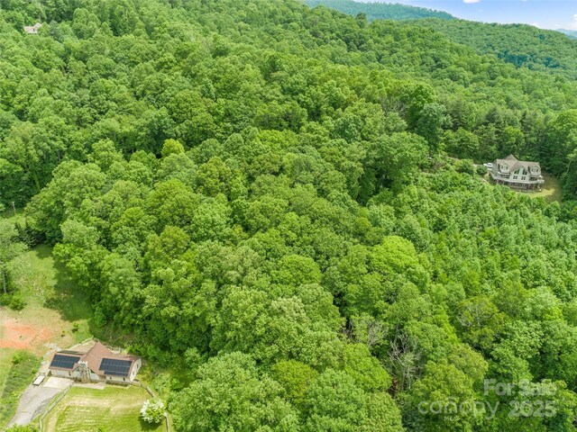 TBD Lotawatah Rd Unit 13, Burnsville, NC 28714 - photo 3