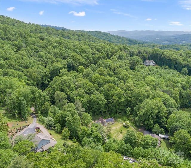 TBD Lotawatah Rd Unit 13, Burnsville, NC 28714 - photo 4