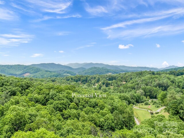 TBD Lotawatah Rd Unit 13, Burnsville, NC 28714 - photo 5