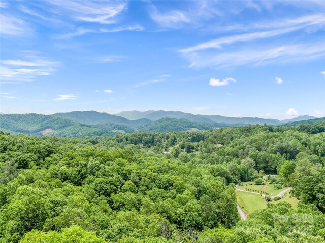 TBD Lotawatah Rd Unit 13, Burnsville, NC 28714 - photo 6