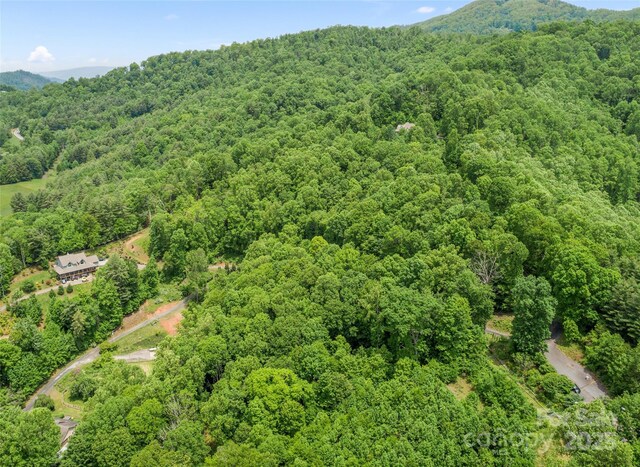 TBD Lotawatah Rd Unit 13, Burnsville, NC 28714 - photo 7