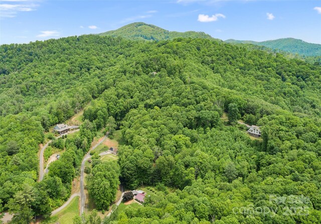 TBD Lotawatah Rd Unit 13, Burnsville, NC 28714 - photo 8