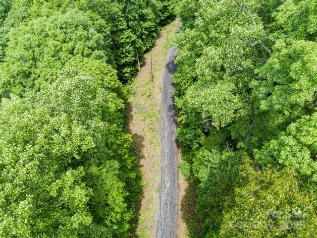 TBD Lotawatah Rd Unit 13, Burnsville, NC 28714 - photo 11