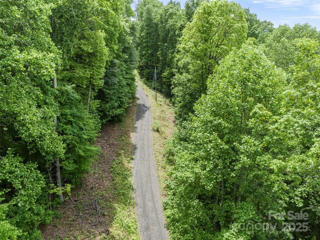 TBD Lotawatah Rd Unit 13, Burnsville, NC 28714 - photo 12