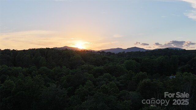 212 Turner Rd, Rutherfordton, NC 28139 - photo 41