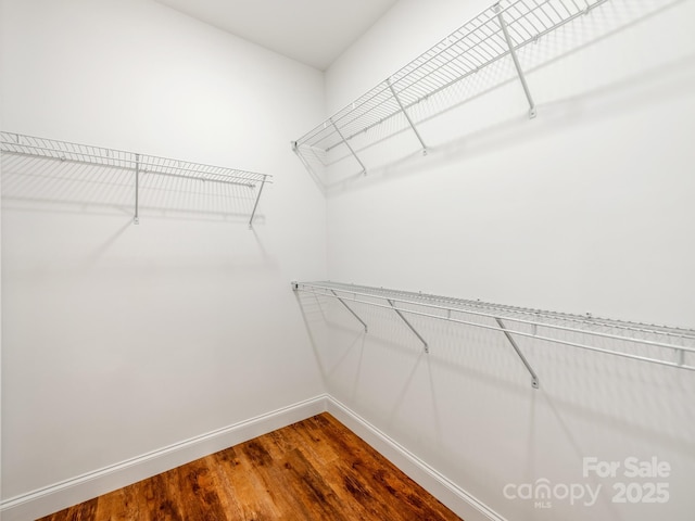 walk in closet with dark wood finished floors