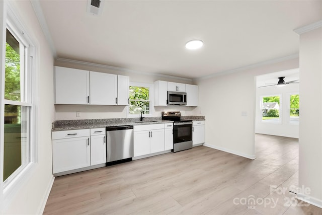 1155 Cedar Grove Ln, Rock Hill, SC 29732 - kitchen with stainless steel appliances, a sink, ornamental molding, plenty of natural light, and light wood-style flooring