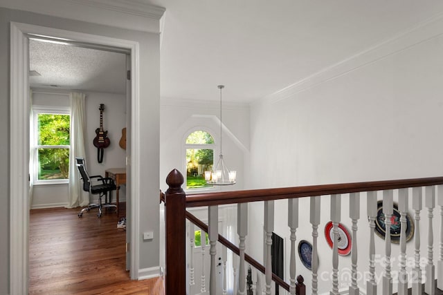 12602 Angel Oak Dr, Huntersville, NC 28078 - photo 35