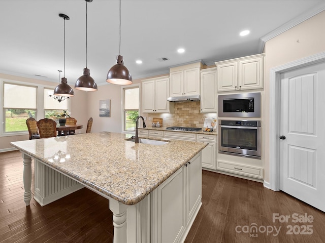 1190 Arges River Dr, Fort Mill, SC 29715 - kitchen featuring stainless steel appliances, a sink, under cabinet range hood, tasteful backsplash, and dark wood-type flooring