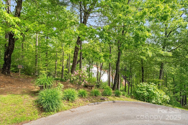 LOT105A Lower Tanglewood Rd W Unit 105, Lake Toxaway, NC 28747