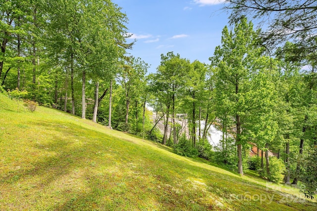 LOT105A Lower Tanglewood Rd W Unit 105, Lake Toxaway, NC 28747