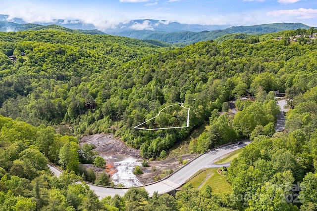 LOT105A Lower Tanglewood Rd W Unit 105, Lake Toxaway, NC 28747