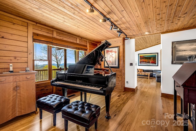 2399 El Miner Dr, Mars Hill, NC 28754 - living area featuring rail lighting, wood ceiling, and light wood-type flooring