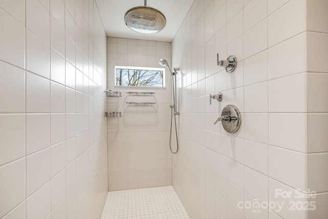 2399 El Miner Dr, Mars Hill, NC 28754 - full bath with a tile shower and pet washing area