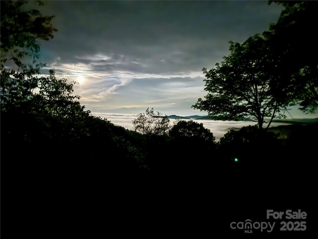 2399 El Miner Dr, Mars Hill, NC 28754 - view of yard