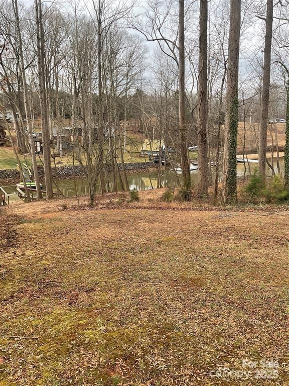 4995 Wildlife Ln Unit 1, Sherrills Ford, NC 28673 - view of yard