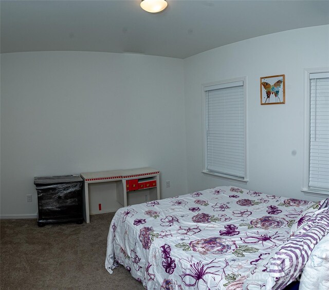 10100 Jack Nicklaus Dr, Lancaster, SC 29720 - bedroom with carpet