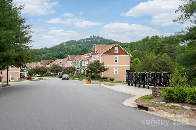58 Walnut Springs Dr, Asheville, NC 28804 - photo 28