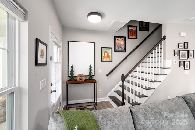 58 Walnut Springs Dr, Asheville, NC 28804 - photo 16