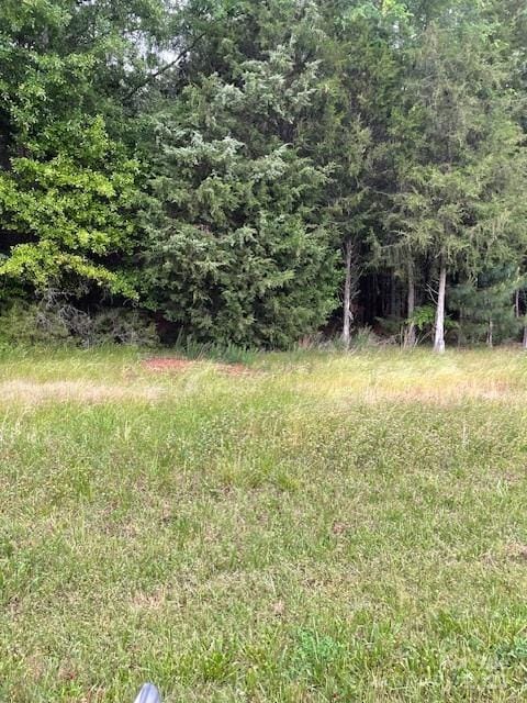 LOT44 Woodglenn Rd, Catawba, SC 29704 - photo 1