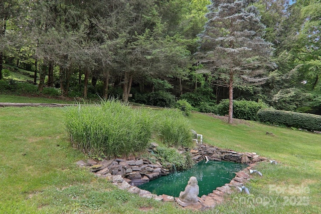 457 Shady Ridge Rd, Waynesville, NC 28785 - view of grassy yard