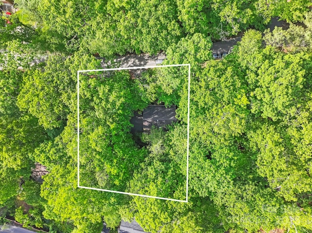124 Hilltop Rd, Black Mountain, NC 28711 - aerial view of property and surrounding area with property parcel outlined