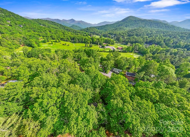 124 Hilltop Rd, Black Mountain, NC 28711 - view of mountain backdrop featuring a heavily wooded area