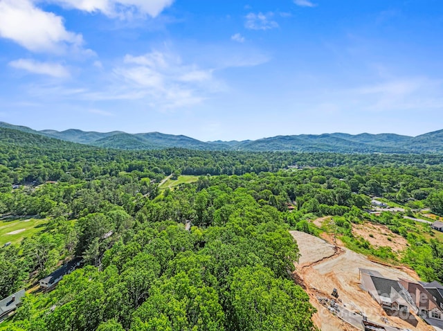 124 Hilltop Rd, Black Mountain, NC 28711 - mountain view with a heavily wooded area