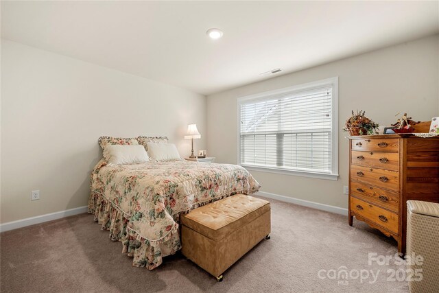 17028 River Race Dr, Huntersville, NC 28078 - bedroom with baseboards and light carpet