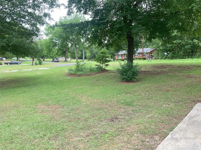 304 W Miller St, Jefferson, SC 29718 - view of grassy yard with view of scattered trees