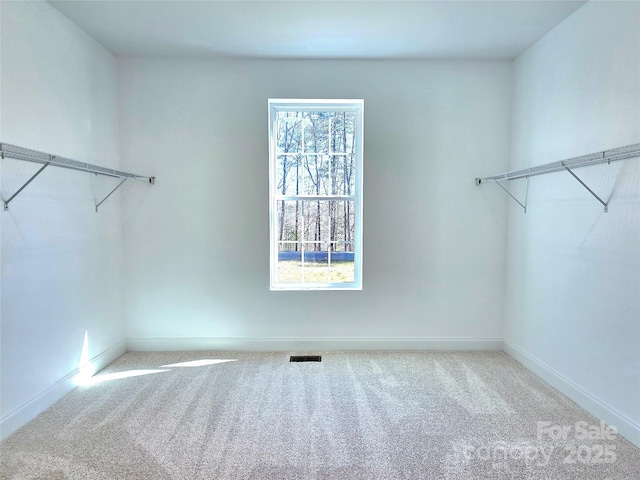 690 Settlers Trl, Mars Hill, NC 28754 - walk in closet with carpet