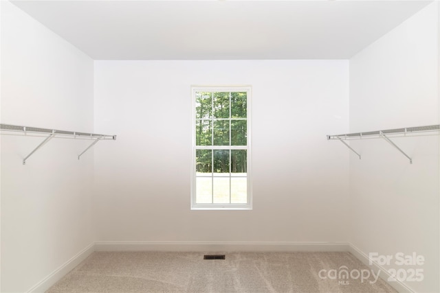 690 Settlers Trl, Mars Hill, NC 28754 - spacious closet with carpet