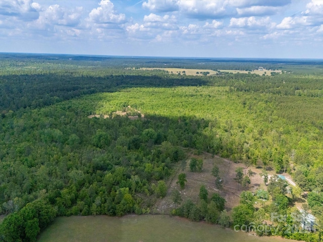 2675 Andrews Cir, Aiken, SC 29803 - bird's eye view of a heavily wooded area