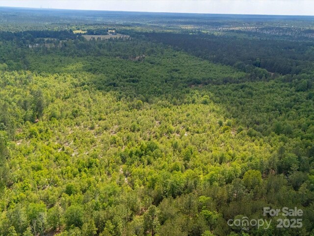 2675 Andrews Cir, Aiken, SC 29803 - bird's eye view of a forest