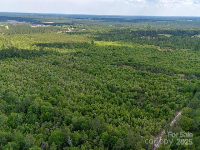 2675 Andrews Cir, Aiken, SC 29803 - aerial view of a forest