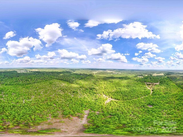 2675 Andrews Cir, Aiken, SC 29803 - aerial view of a forest